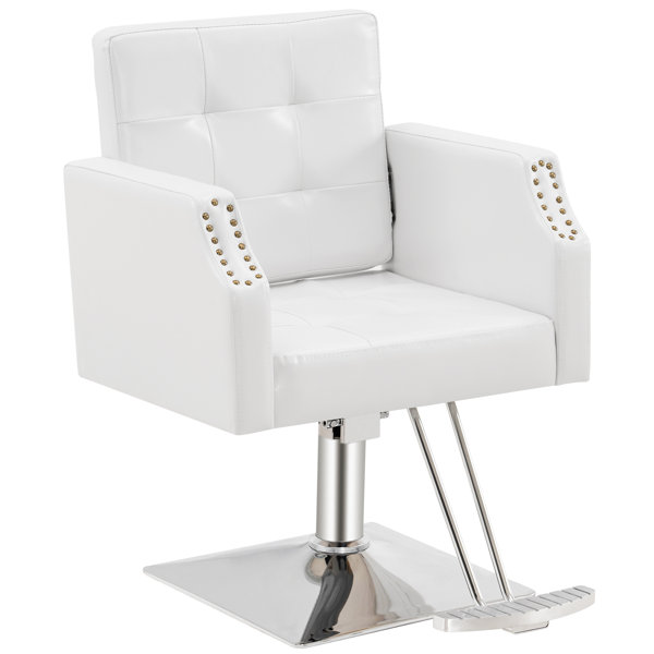 Wayfair discount salon chair